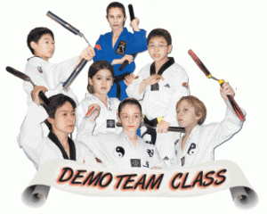 Demo Team Class