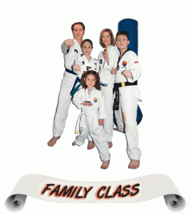 Master Yoo's Taekwondo - Martial Arts Family Class