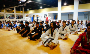 Taekwondo one day camp