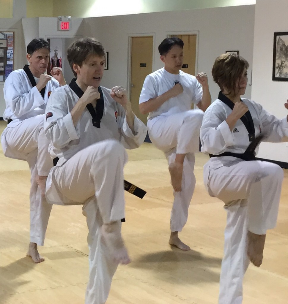 Training Martial arts TaekwondoImproving front snap kicking
