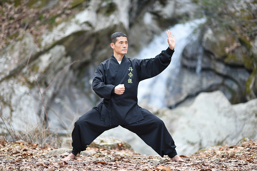 Tai Chi and Qi Gong