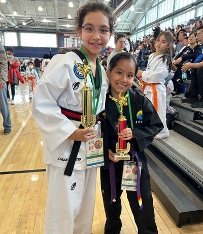 Taekwondo Championship