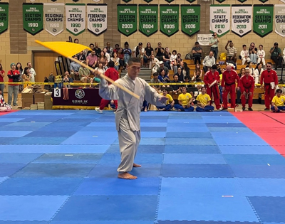 Taekwonndo