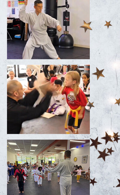 Special Class with Grandmaster Yoo