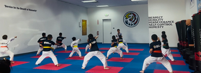 Taekwondo