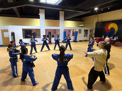 Taekwondo
