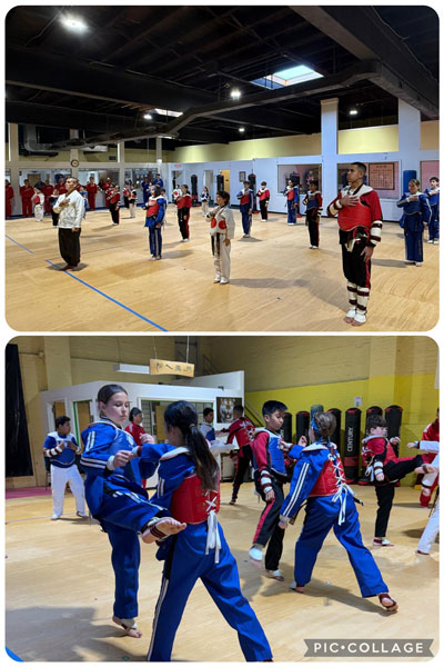 Taekwondo martial arts