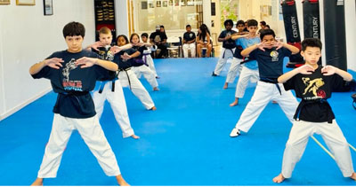 Taekwondo Fairlawn