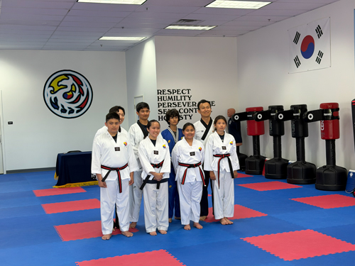 Black Belt Test