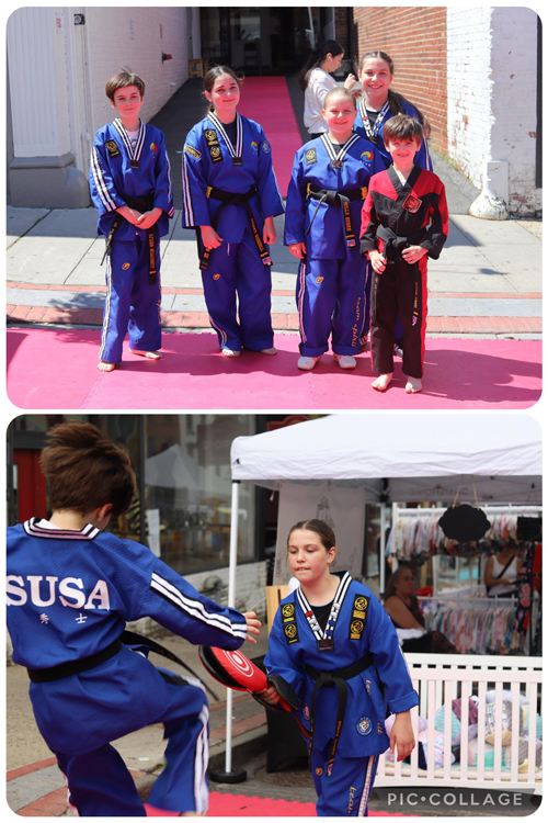 Taekwondo Street Fair
